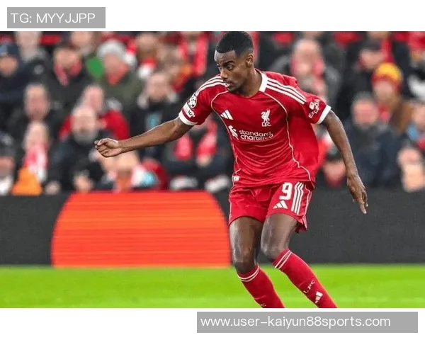 去年出场15场以上却未进球的前锋身价排行榜萨默维尔位居第一 去年出场15场以上却未进球的前锋身价排行榜萨默维尔位居第一