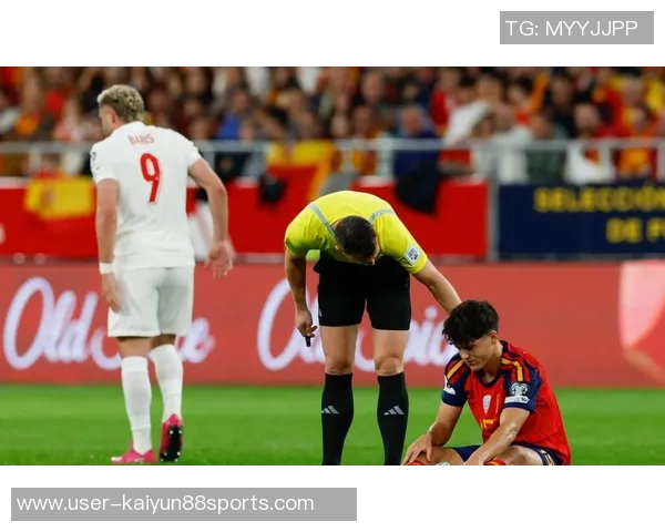 世界杯D组分析土耳其争夺晋级名额居莱尔与普利西奇对决